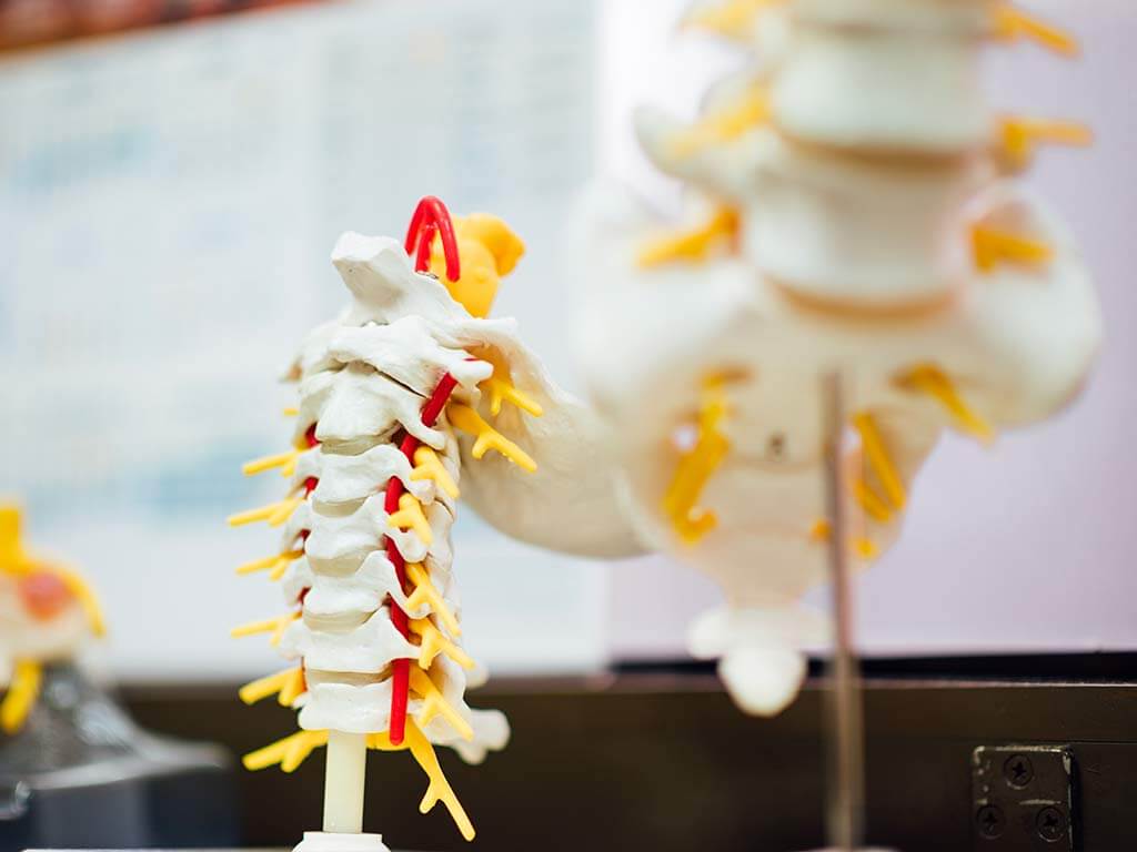 fratture vertebrali: definizione, cause e sintomi