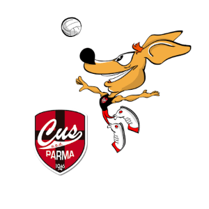 cus pallavolo cus pallavolo
